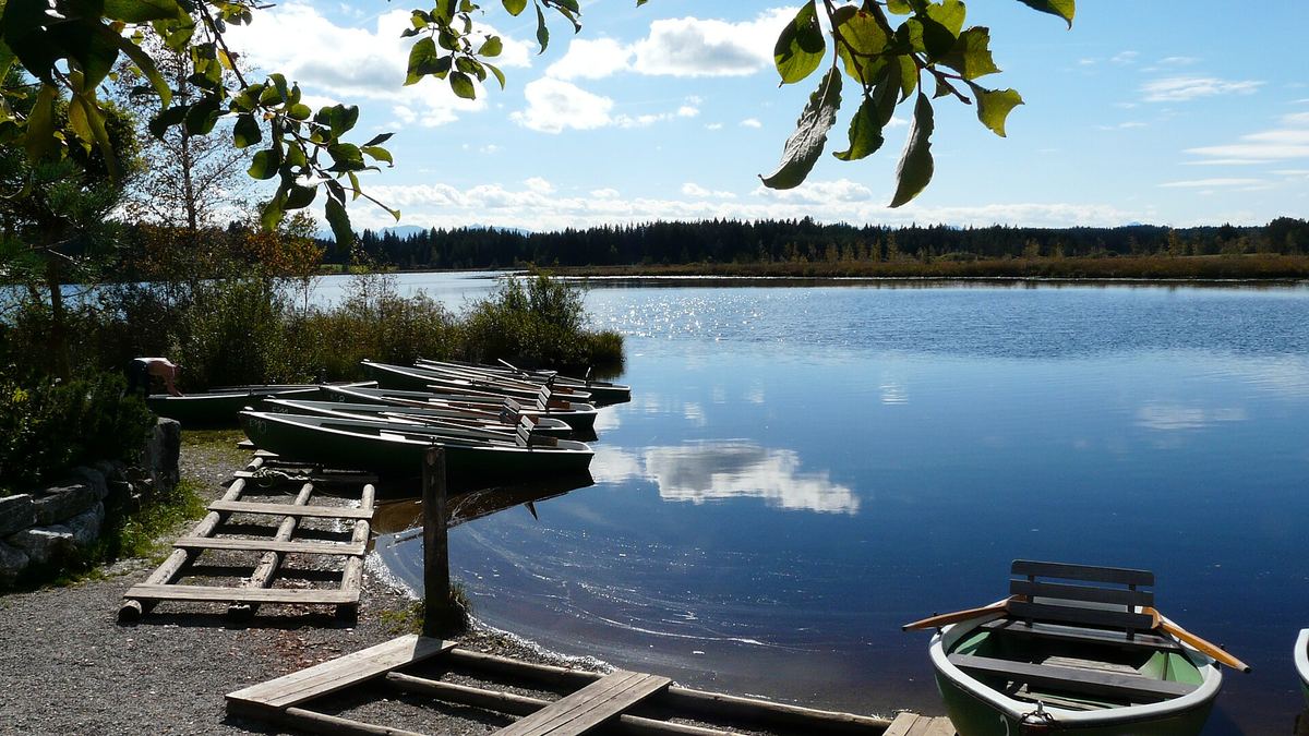 Ruderboote am Steg des Elbsees im Herbst