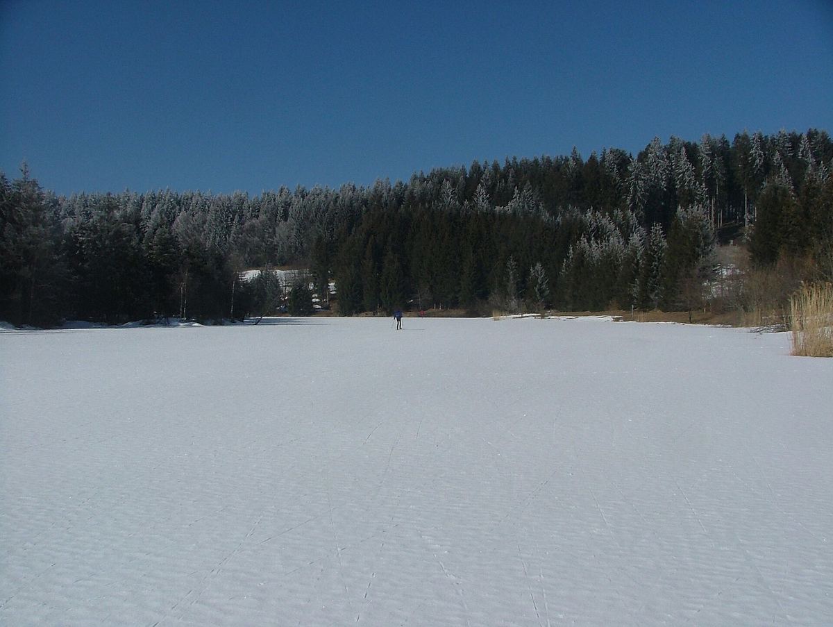Der Eschacher Weiher im Winter, zugefroren und verschneit